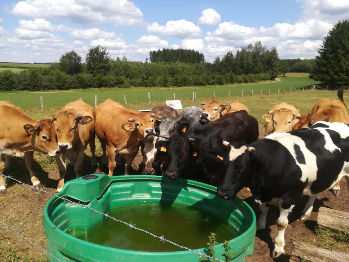 Вилла La Ferme Oubliee Paliseul Экстерьер фото