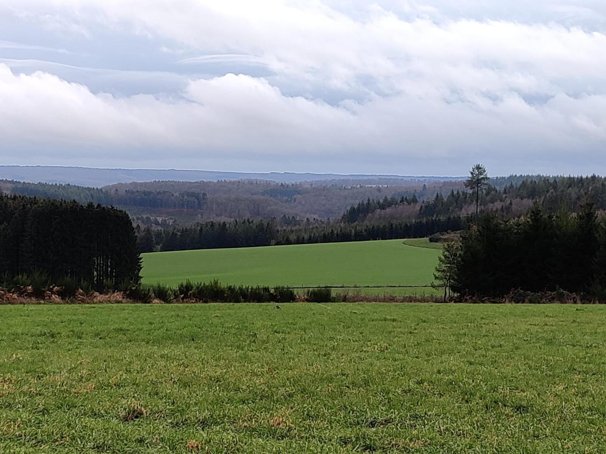 Вилла La Ferme Oubliee Paliseul Экстерьер фото